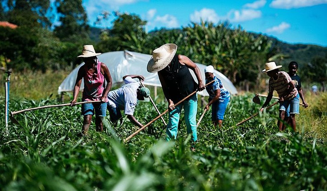 Governo de Alagoas anuncia concurso público com cerca de 60 vagas; confira