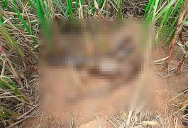 Corpo em avançado estado de decomposição é encontrado no interior de Alagoas