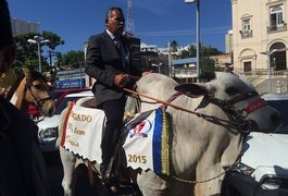 Deputado Tarcizo Freire chega para posse montado em boi