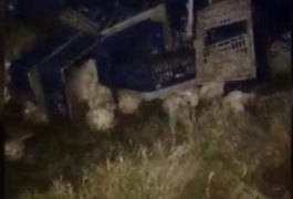 Caminhão com carga de galinhas capota em Palmeira dos Índios, na divisa com Pernambuco