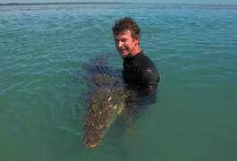 Especialista em crocodilos assume ter estuprado e matado ao menos 39 cães