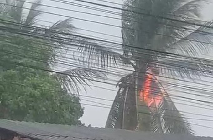 Raio atinge coqueiro e provoca incêndio durante fortes em Arapiraca