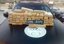 BOPE apreende cerca de 50Kg de maconha e prende três durante operação