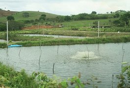 Fiscalização encontra irregularidades e autua fazenda de cultivo de camarões no Agreste de Alagoas