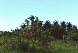 Teremos sábado de sol e domingo com possibilidade de chuvas fracas no Agreste e Sertão