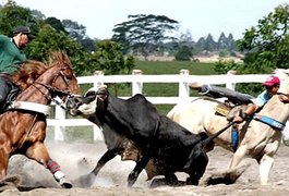 Estado sanciona lei que torna vaquejada patrimônio cultural de Alagoas
