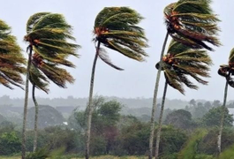 Inmet emite alerta de vendaval para dez municípios do Agreste de Alagoas