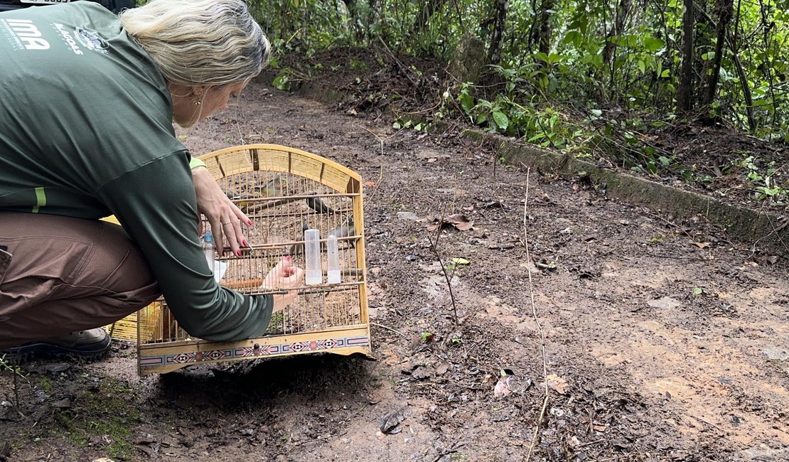 Centro de Triagem solta 164 animais silvestres em área de Mata Atlântica