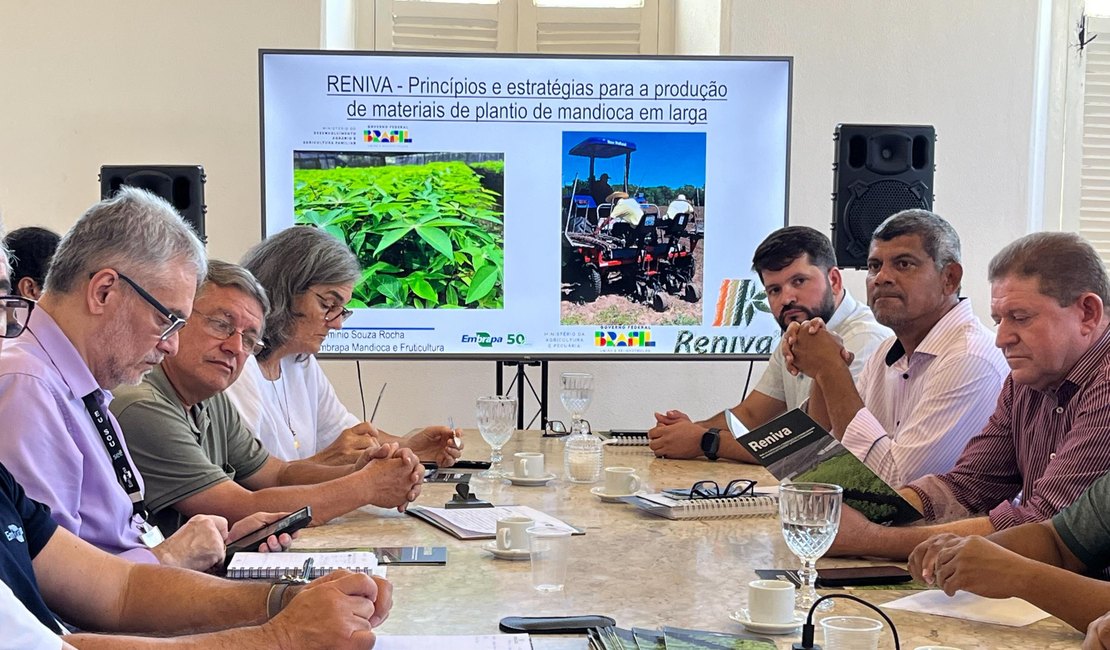 Seagri busca parcerias para melhorar qualidade genética da mandioca em Alagoas