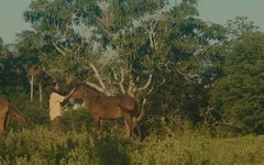 Videoclipe toada a galope