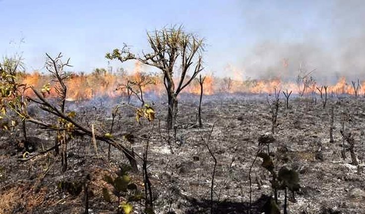 Acordo que limita o aumento da temperatura global entra em vigor hoje