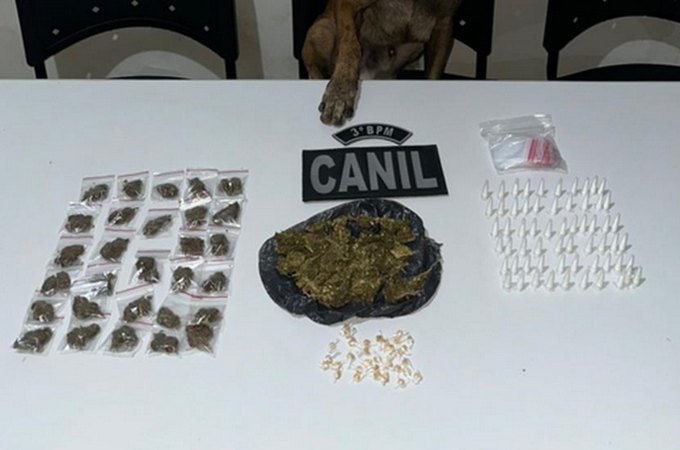 Com apoio de cão farejador, policiais militares apreendem diversos tipos de drogas no Conjunto Frei Damião