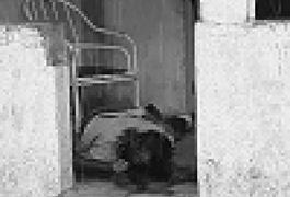 Homem morre com golpe de machado na cabeça após discussão