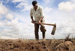 Ministério da Integração Nacional autoriza repasse de mais de R$ 3 milhões para AL