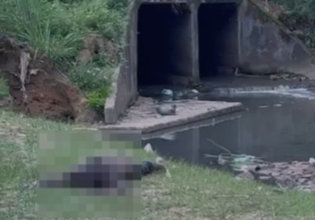 Corpo é encontrado em córrego na região da Grota Pau D’Arco, na Avenida Leste-Oeste