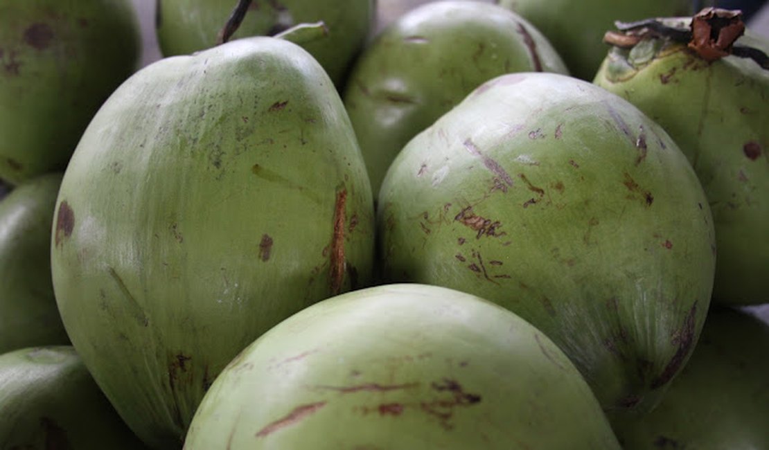 Homem xinga crianças, rouba cocos que elas ganharam e ameaça vizinha que tirou satisfação, em Arapiraca