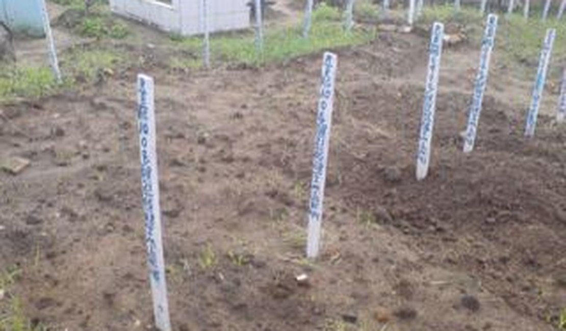 Cemitério de Rio Novo suspende sepultamentos por causa de superlotação