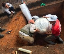 Arqueólogos encontram urna funerária indígena de mil anos na Zona da Mata