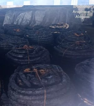 Polícia apreende 15 toneladas de fumo em corda em Arapiraca, AL