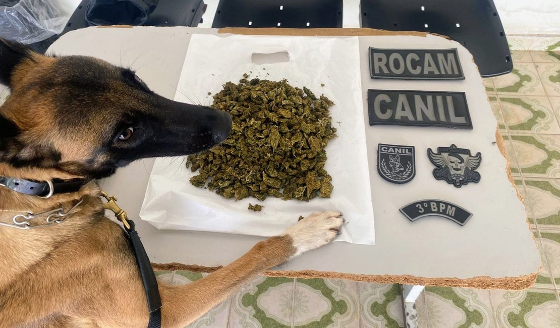 Menor é apreendido com drogas no Bairro Manoel Teles, em Arapiraca