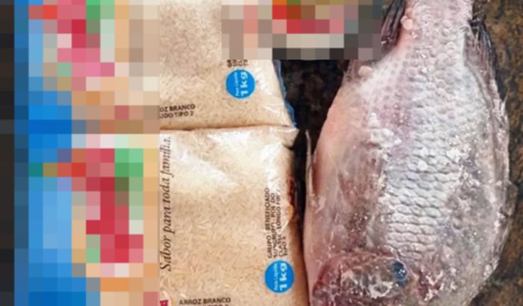 VÍDEO: Prefeitura de Canapi entrega 1 peixe, 2kg de arroz e leite de coco para a Sexta Santa e recebe críticas de vereadora: 'É isso que o povo merece?'