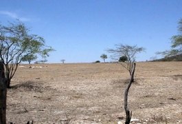 Alagoas foi um dos estados que teve agravamento da seca em abril, diz agência