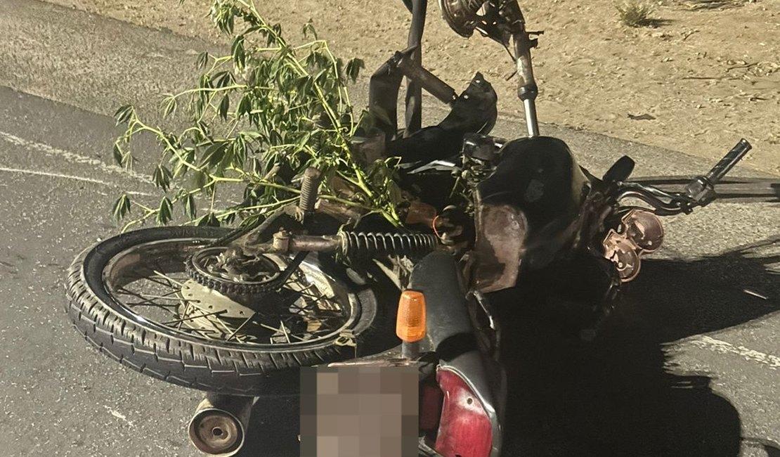 Colisão entre carro e moto deixa condutor ferido na AL-115, em Arapiraca