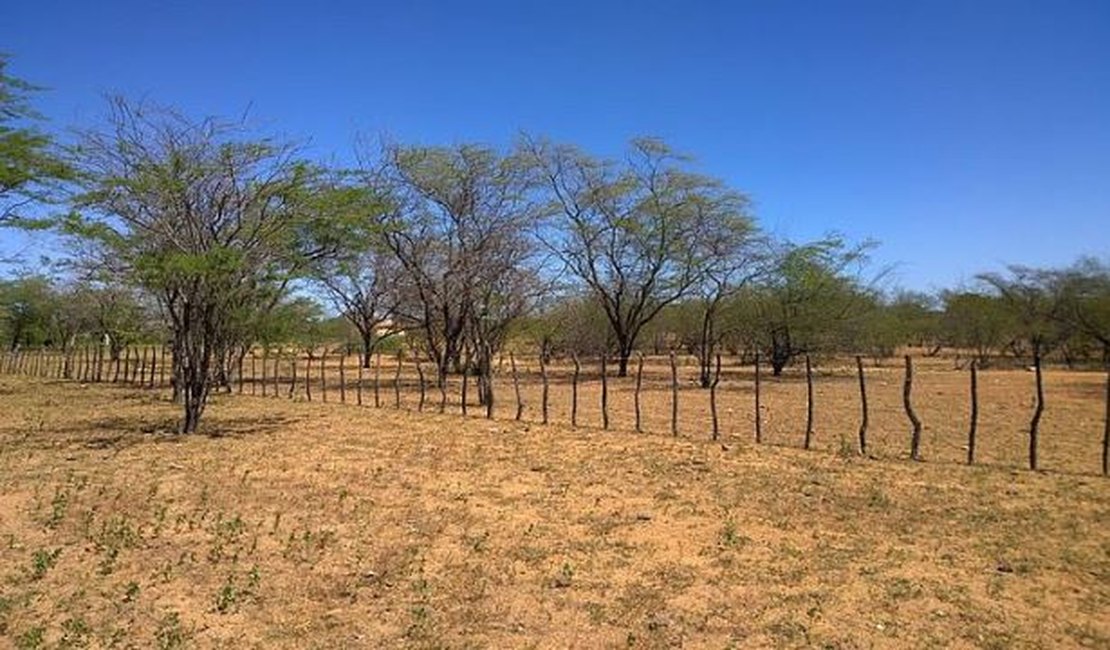 Temperaturas no Sertão alagoano podem chegar a 40º C no Verão, que começa nesta sexta-feira (21)