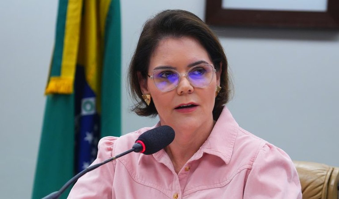Comissão aprova projeto que prevê porte de arma em imóvel rural