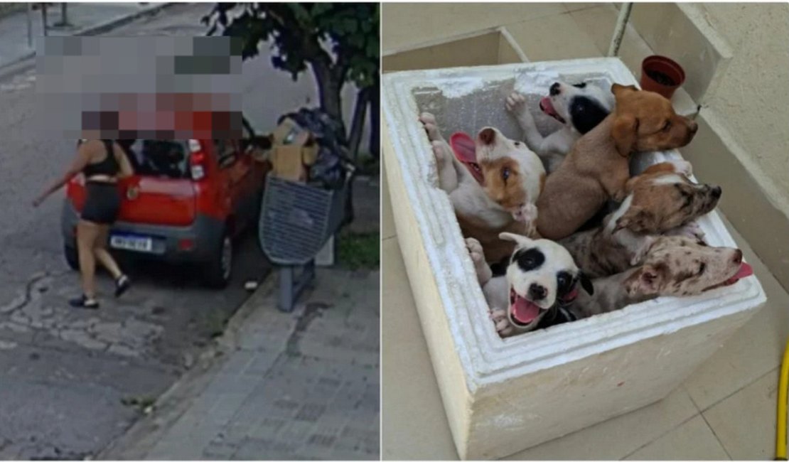 Mulher é flagrada abandonando sete filhotes de cachorro em Belo Horizonte