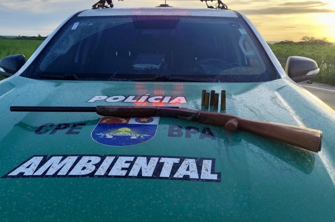 PM-AL apreende arma, aves silvestres e redes de pesca predatória no interior de Alagoas