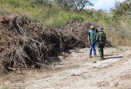 Fiscalização embarga áreas desmatadas que equivalem a 419 campos de futebol em Limoeiro de Anadia, Olho d'Água Grande e São Brás