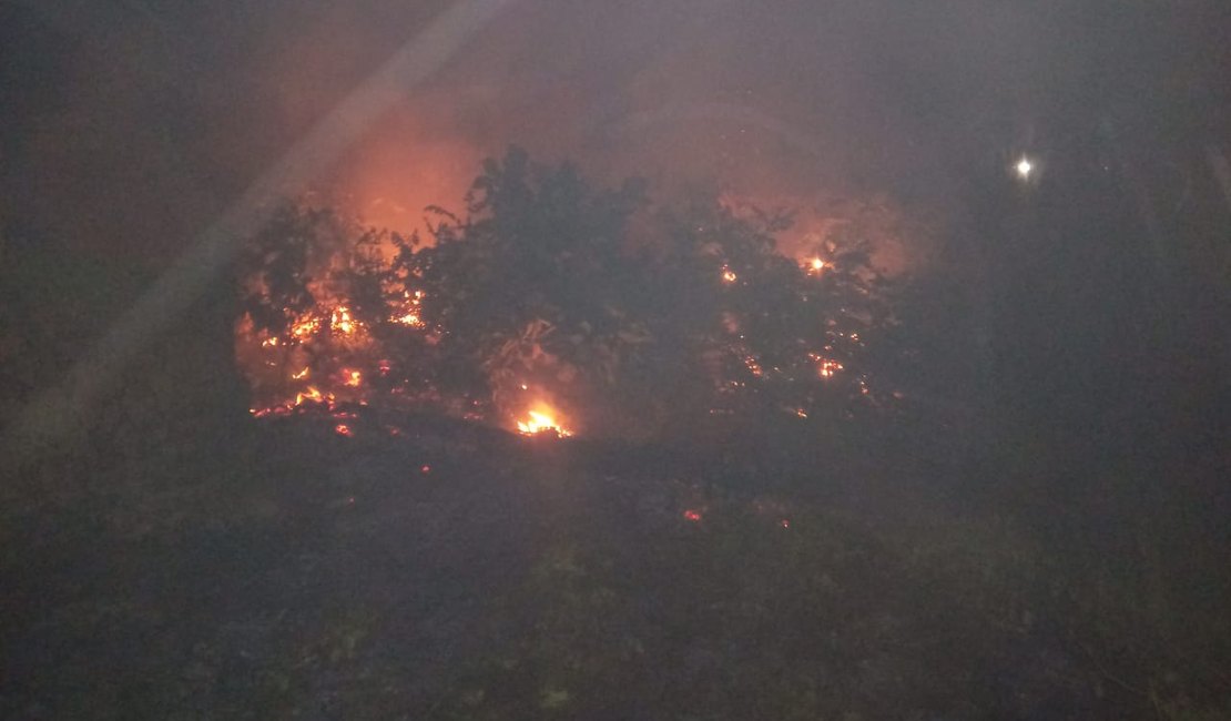 Incêndio atinge vegetação na Barra de São Miguel