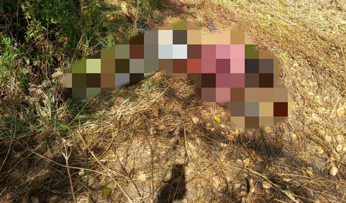 Dois cadáveres em decomposição são encontrados em matagal na Zona Rural de Arapiraca