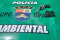 PM flagra abate ilegal e prende homem com arma irregular em Anadia