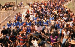 Cavalgada de São José