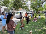 Forte terremoto sacode o Panamá; operações do canal seguem normalmente
