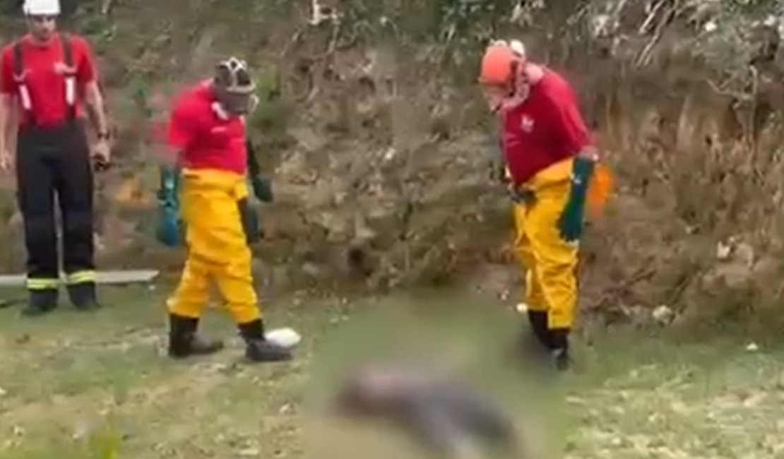 Corpo é encontrado em riacho do Reginaldo, em Maceió