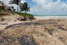 Manchas de óleo: valor e cobertura do benefício a pescadores podem ser ampliados