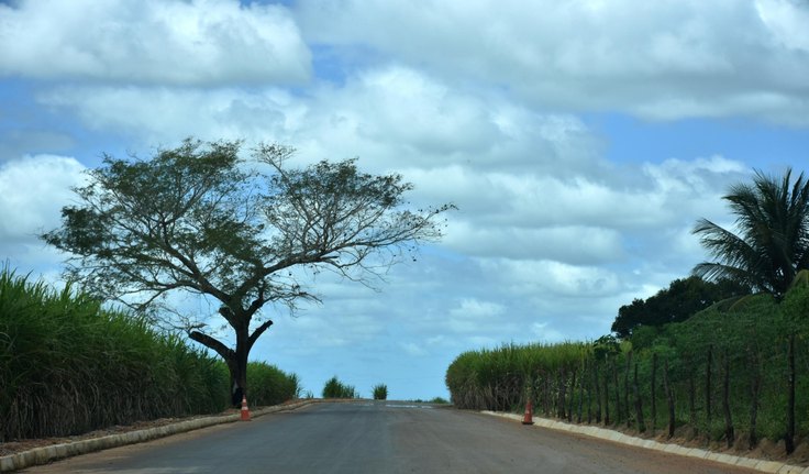 Programa Alagoas de Ponta a Ponta segue em Junqueiro com pavimentação asfáltica