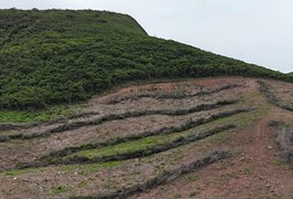 Fiscalização localiza área desmatada equivalente a cerca de 800 campos de futebol entre Traipu e Batalha