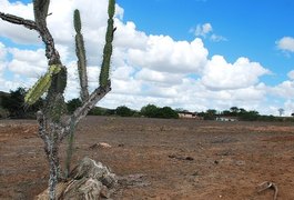 Seca no Sertão alagoano faz produtores vender rebanhos