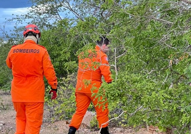Bombeiros procuram pessoa desaparecida em mata fechada em Delmiro Gouveia