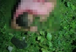 Homem é morto a tiros na zona rural de Girau do Ponciano; veja identidade da vítima