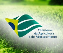 Concurso MAPA (INMET) 2015: Edital e Inscrição