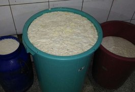 Operação interdita fábrica de laticínios no Agreste