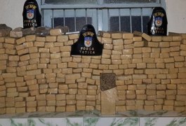 Casal é preso com quase 90 kg de maconha dentro de casa em Rio Largo