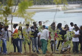 Prefeitura inicia plantio de mudas na Floresta dos Atletas da Rio 2016