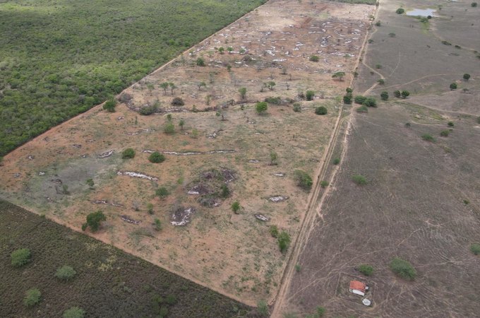 MPAL firma acordos para recuperação de áreas de Caatinga degradadas em Traipu e pagamento de R$ 210 mil em indenizações