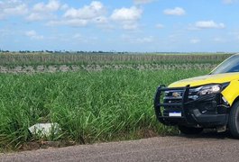 Corpo de homem morto com diversos golpes de facão é encontrado em canavial, em Penedo